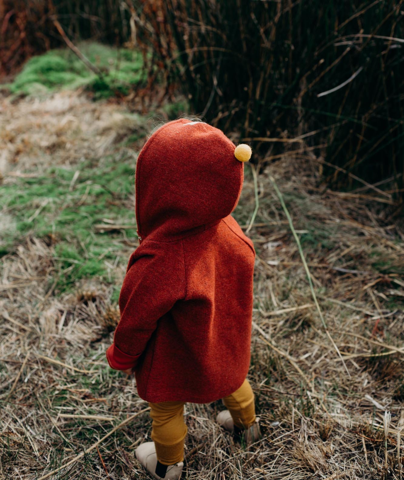 Image of Merino boucle jacket rust